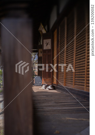 Light streaming onto the veranda of an old house and a cat napping on the veranda. Light streaming onto the veranda of an old house and a cat napping on the veranda. 139200082