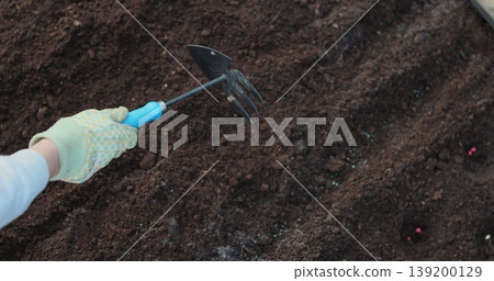 Close-up of a woman hoeing in her garden, breaking up soil to prepare for planting vegetables. Agricultural concept. Close-up of a woman hoeing in her garden, breaking up soil to prepare for planting vegetables. Agricultural concept. 139200129