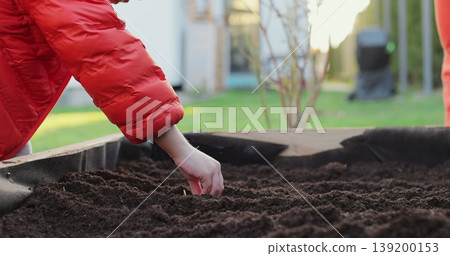 Young woman and boy plants onions at her backyard garden. Growing organic food near home. Young woman and boy plants onions at her backyard garden. Growing organic food near home. 139200153