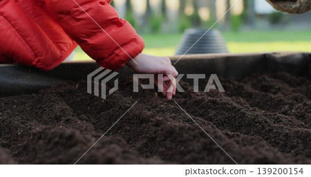 Young woman and boy plants onions in raised garden beds.. Growing organic food near home. Young woman and boy plants onions in raised garden beds.. Growing organic food near home. 139200154