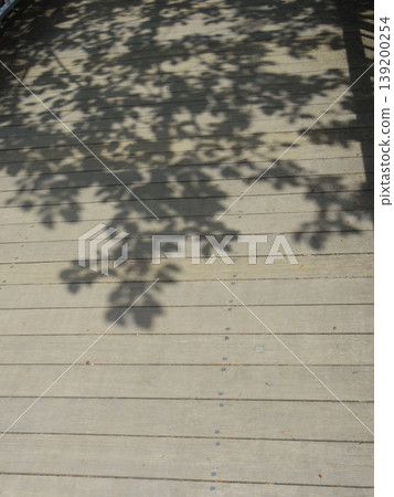 Wooden walkway with tree shadows Wooden walkway with tree shadows 139200254