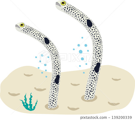 Chinese eel Chinese eel 139200339