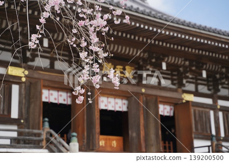 埼玉縣日高市駒山聖天院正樂寺本堂 139200500