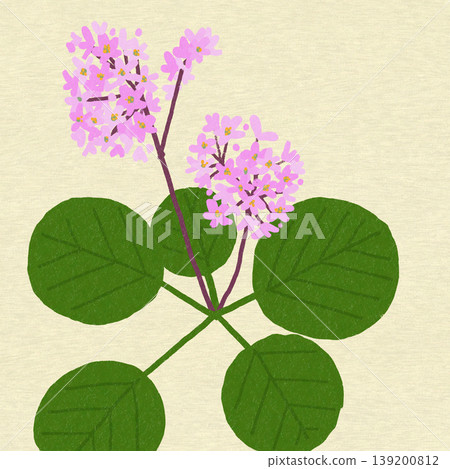 Himalaya Yukinoshita Himalaya Yukinoshita 139200812