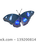 Blue moon butterfly realistic illustration  139200814