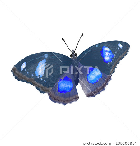 Blue moon butterfly realistic illustration Blue moon butterfly realistic illustration 139200814