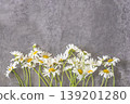 Frame of white daisy flowers on a gray textured background; Greeting card template 139201280
