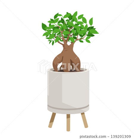 A simple flat illustration of a potted Ficus microcarpa (Gajumaru) houseplant. A simple flat illustration of a potted Ficus microcarpa (Gajumaru) houseplant. 139201309