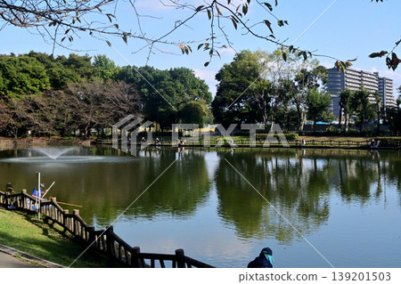 Kitamoto General Park Pond: A quiet fishing spot in central Saitama Prefecture Kitamoto General Park Pond: A quiet fishing spot in central Saitama Prefecture 139201503