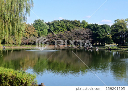 Kitamoto General Park Pond: A quiet fishing spot in central Saitama Prefecture Kitamoto General Park Pond: A quiet fishing spot in central Saitama Prefecture 139201505