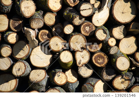 Stack of freshly cut logs showing detailed wood grain and bark texture Stack of freshly cut logs showing detailed wood grain and bark texture 139201546