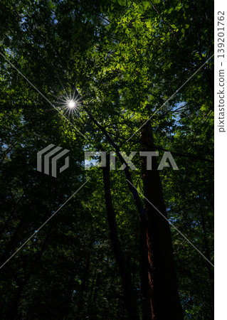 250906 Shinshu Oshiba Plateau 250906 Shinshu Oshiba Plateau 139201762