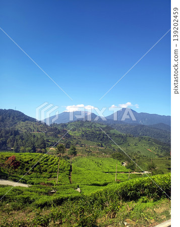 Natural View of Green Hills with Beautiful Blue Sky and Clouds Natural View of Green Hills with Beautiful Blue Sky and Clouds 139202459