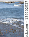 Waves to beat on the sandy beach 139202537