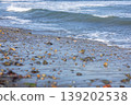 Waves to beat on the sandy beach 139202538