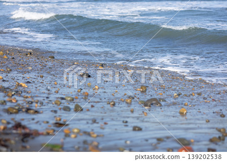 Waves to beat on the sandy beach Waves to beat on the sandy beach 139202538