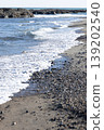 Waves to beat on the sandy beach 139202540