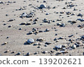 stones washed up on the beach 139202621