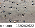 stones washed up on the beach 139202622