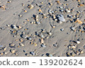 stones washed up on the beach 139202624