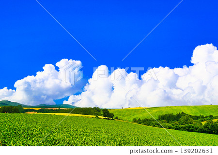 A composite image of the beautiful rural landscape of Biei and cumulonimbus clouds. A composite image of the beautiful rural landscape of Biei and cumulonimbus clouds. 139202631