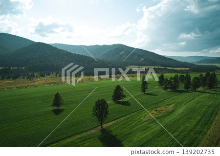 Aerial view shows expansive green fields bordered by dense forest mountains under a bright cloudy afternoon sky Aerial view shows expansive green fields bordered by dense forest mountains under a bright cloudy afternoon sky 139202735