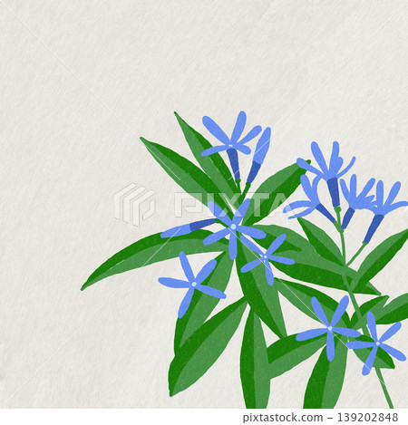丁香草 丁香草 139202848