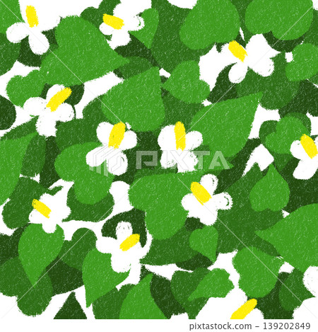 Dokudami grass Dokudami grass 139202849