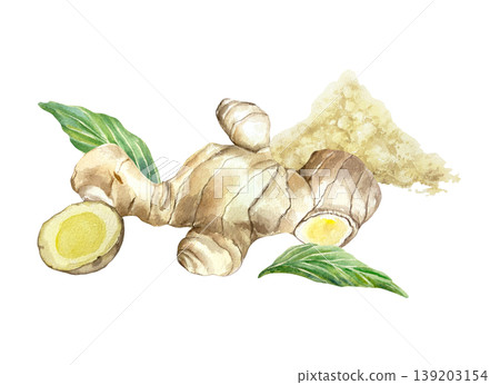 Ginger root, green leaves, dried powder and a fresh slice. Hand drawn illustration isolated on white. Watercolor clip art for food label design, natural cosmetics and medicine. 139203154