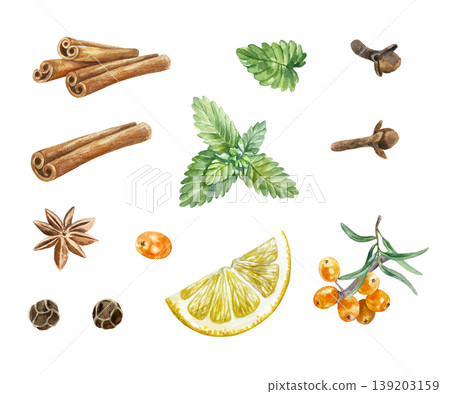 Spice set. Mint, cinnamon sticks, dried cloves, peppercorns, lemon wedge, star anise and sea buckthorn berries. Hand drawn watercolor illustration, isolated. For food label design and cookbook recipes Spice set. Mint, cinnamon sticks, dried cloves, peppercorns, lemon wedge, star anise and sea buckthorn berries. Hand drawn watercolor illustration, isolated. For food label design and cookbook recipes 139203159