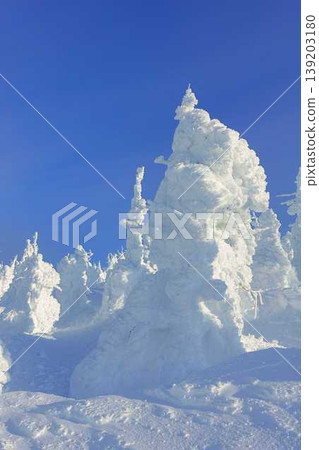 Rime on trees, hoarfrost, Zao 139203180