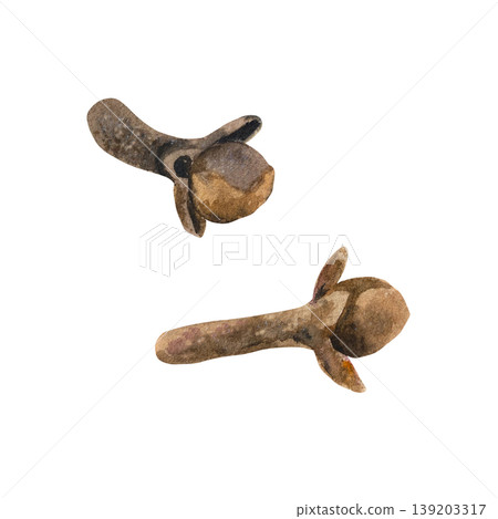 Dried clove buds, isolated. Hand drawn watercolor illustration of organic culinary ingredient for decorating winter drinks, medicines and cooking recipes. 139203317