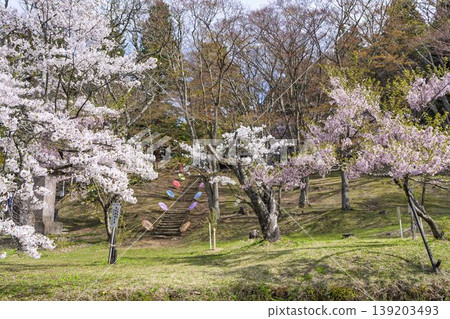 春日土津神社:通往神社的道路和櫻花,福島縣豬苗代町 春日土津神社:通往神社的道路和櫻花,福島縣豬苗代町 139203493