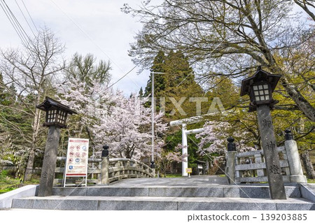 福島縣豬苗代町春天的道津神社、白色鳥居和盛開的櫻花 福島縣豬苗代町春天的道津神社、白色鳥居和盛開的櫻花 139203885