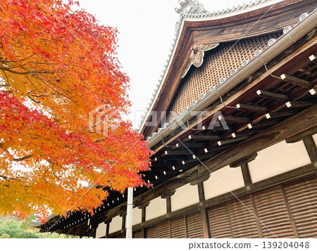 Traditional Japanese temple roofs and vibrant autumn leaves 139204048