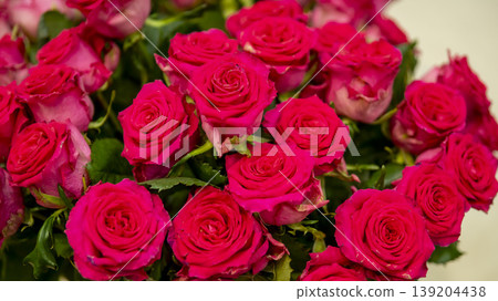 rose rose 139204438