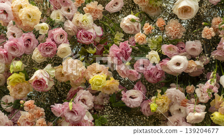 rose rose 139204677