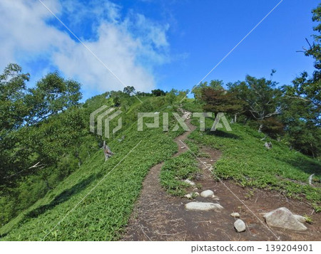沿著山脊的健行步道通往沙贊山頂峰。 沿著山脊的健行步道通往沙贊山頂峰。 139204901