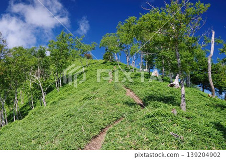 沙贊山山脊上的健行步道和夏日的天空 沙贊山山脊上的健行步道和夏日的天空 139204902