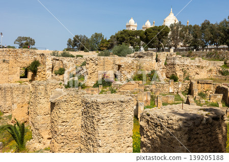 Ruins of house of Hannibal at the excavations of Carthage Ruins of house of Hannibal at the excavations of Carthage 139205188