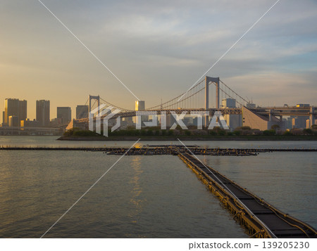 A sunset view of a fountain on the sea bathed in golden sunlight, with the Rainbow Bridge in the background (Odaiba, Minato Ward, Tokyo) 139205230