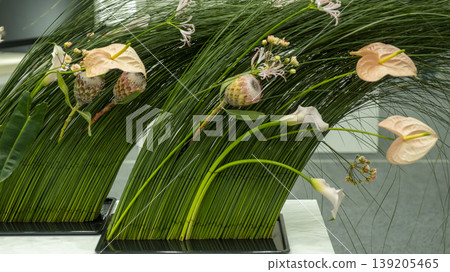International Flower Exhibition 139205465