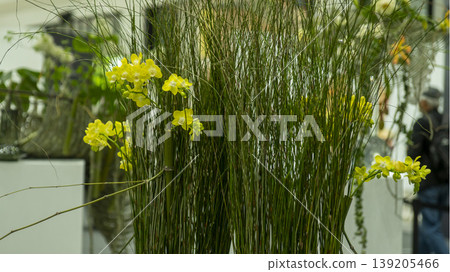 International Flower Exhibition International Flower Exhibition 139205466