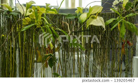 International Flower Exhibition 139205467