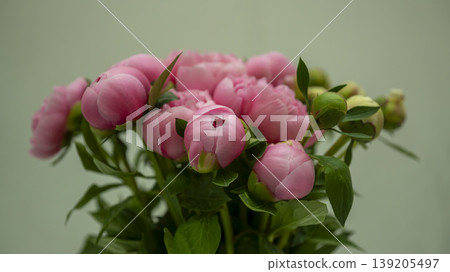 International Flower Exhibition International Flower Exhibition 139205497