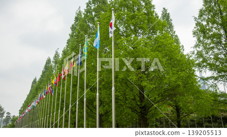 International Flower Exhibition 139205513