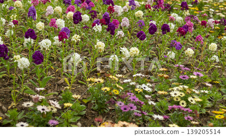 International Flower Exhibition International Flower Exhibition 139205514