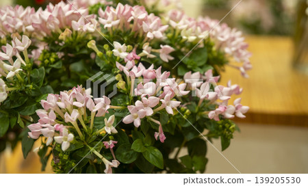 International Flower Exhibition 139205530