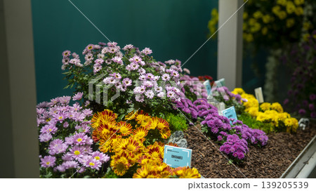International Flower Exhibition 139205539