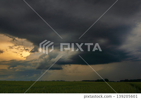 Storm clouds of thunderstorm over a field in Lithuania 139205601